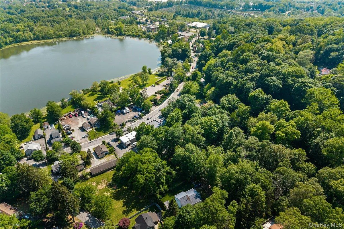 Bird's eye view of a large body of water and a forest Bird's eye view of a large body of water and a forest