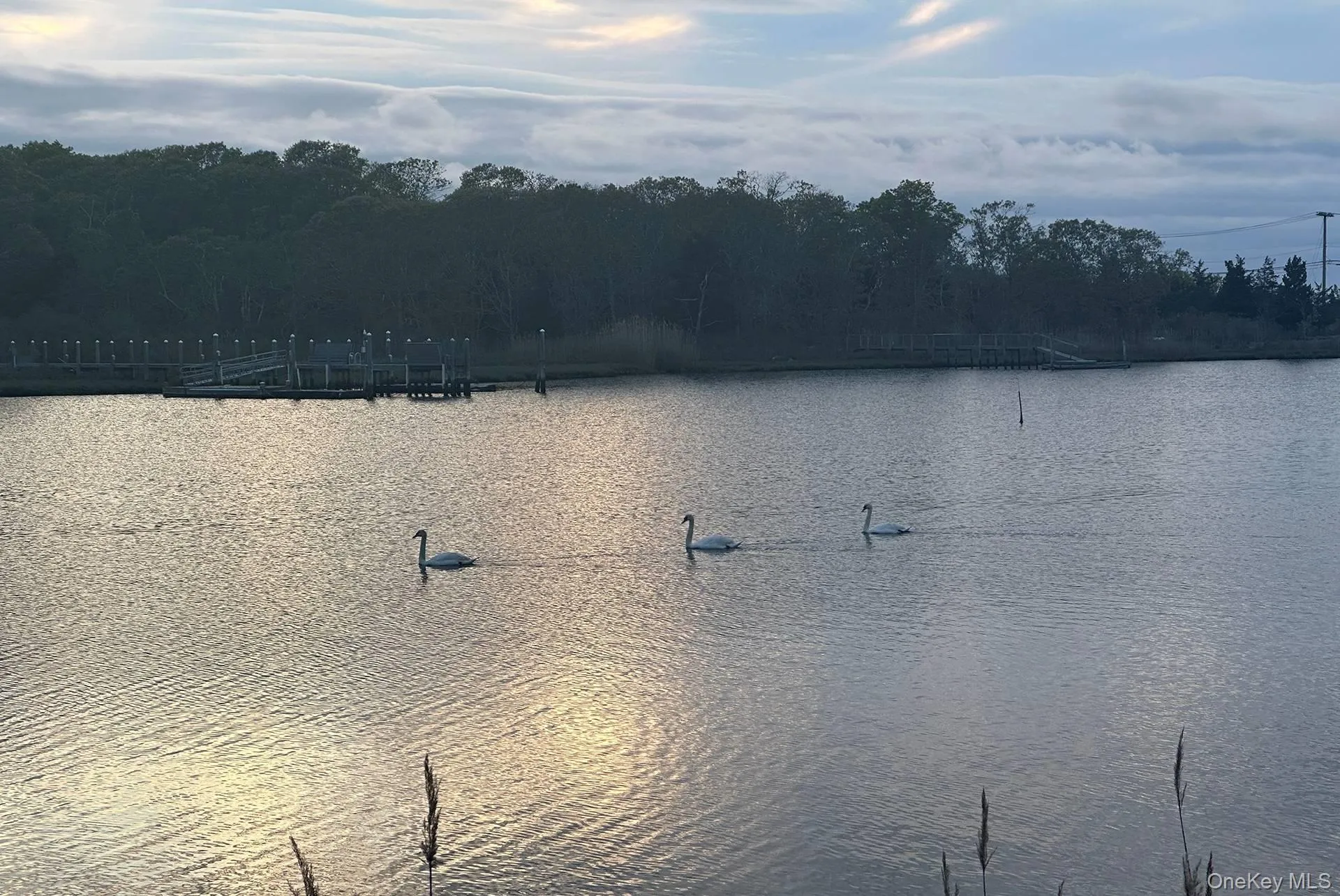 Water view featuring a forest Water view featuring a forest