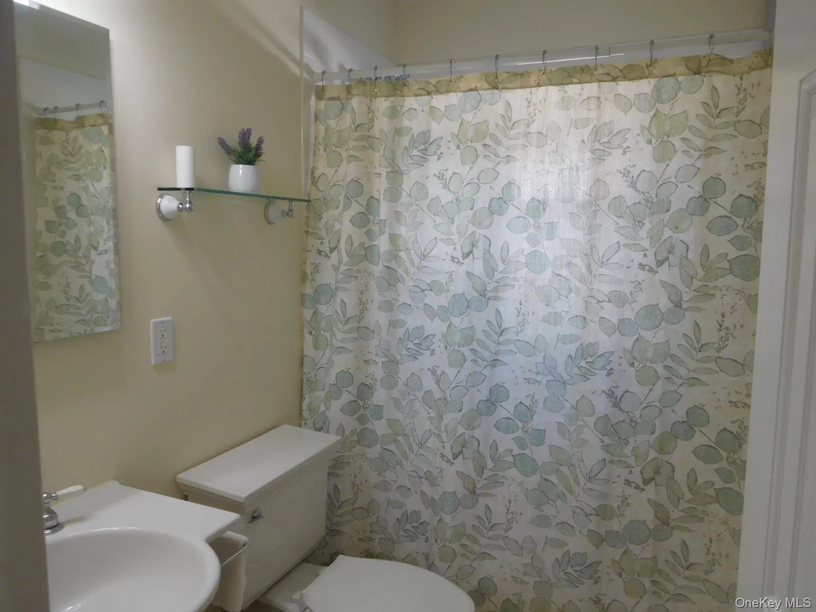 Renovated Hall Bathroom Renovated Hall Bathroom