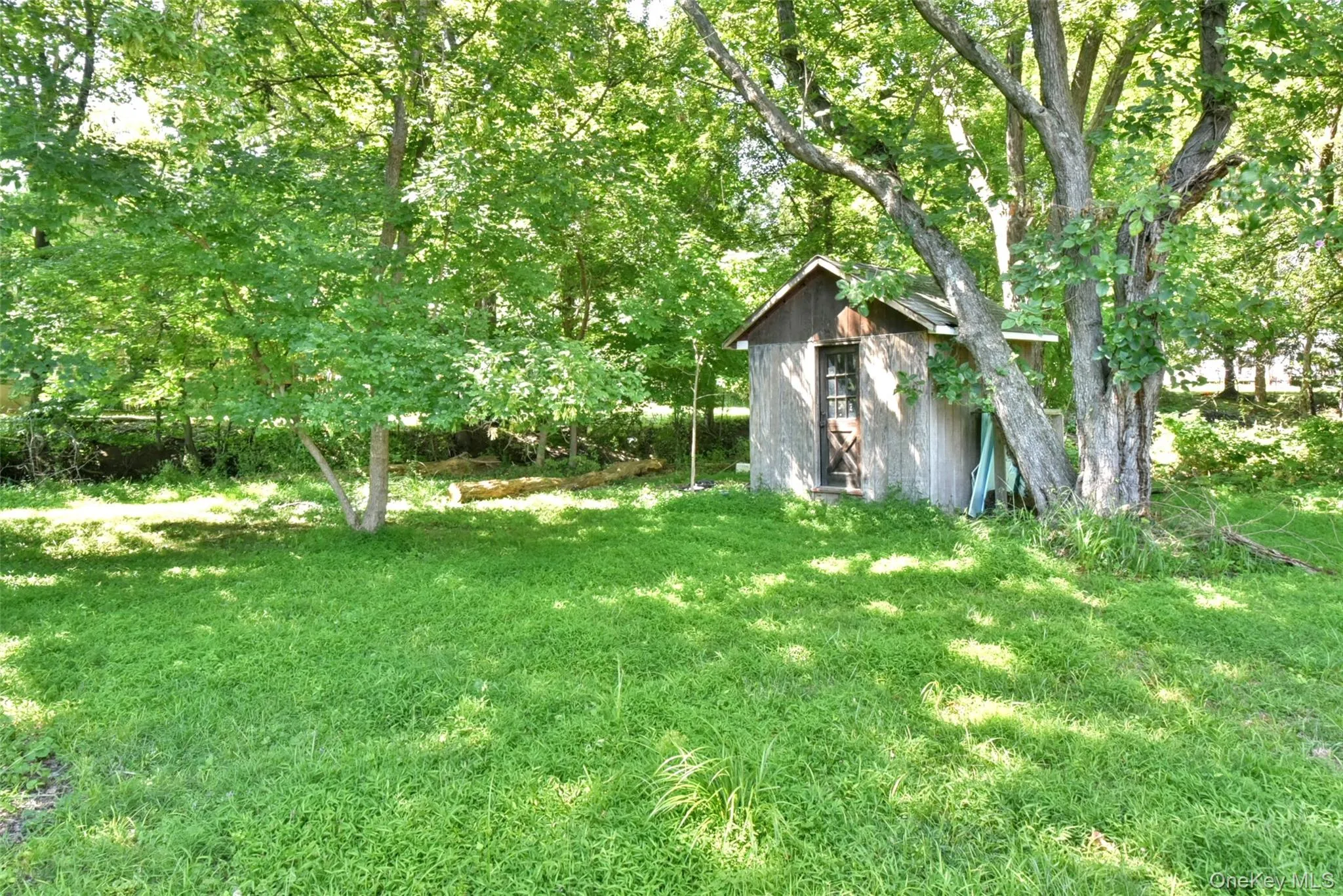 View of green lawn with a shed View of green lawn with a shed