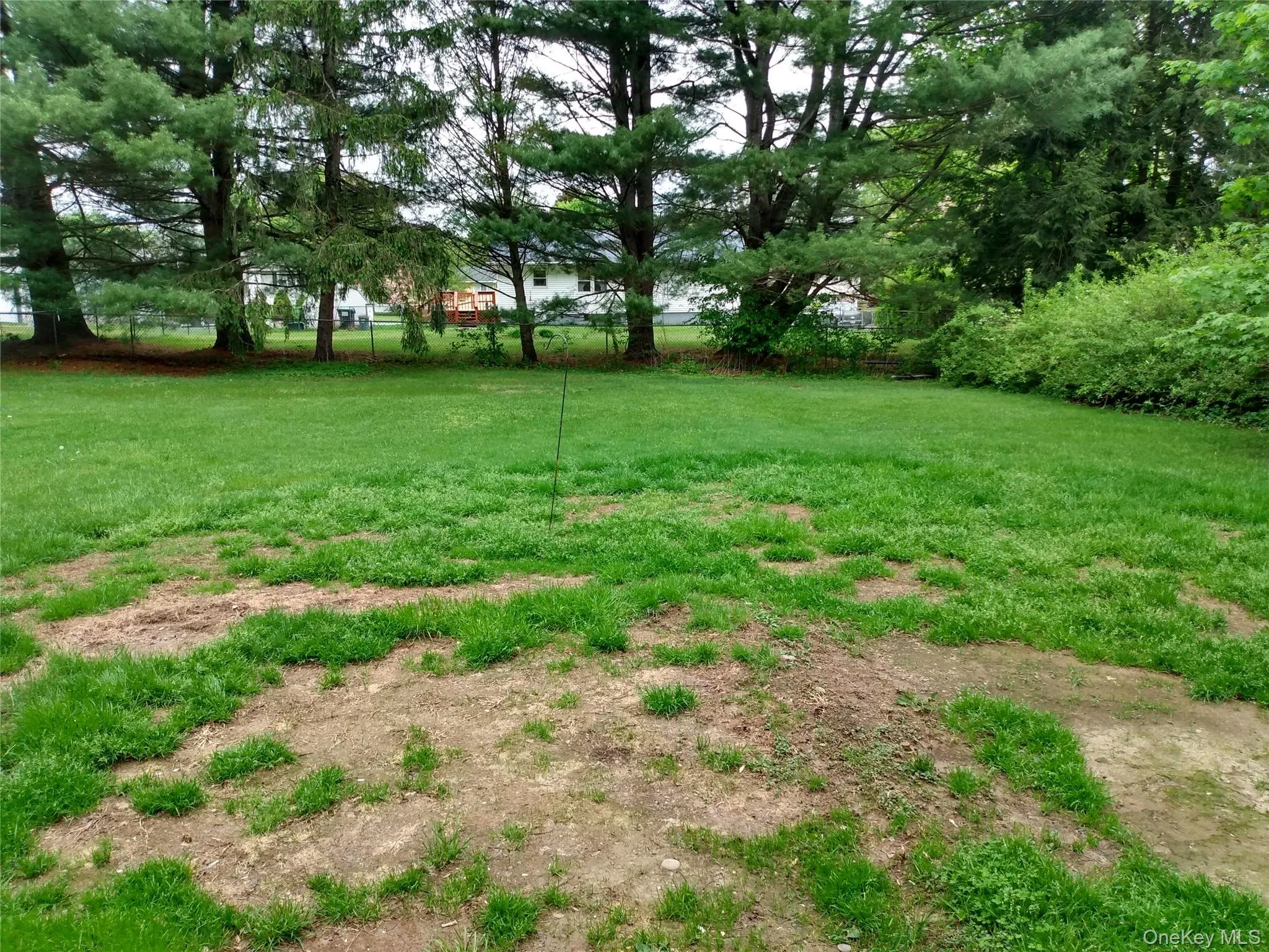 View of backyard View of backyard
