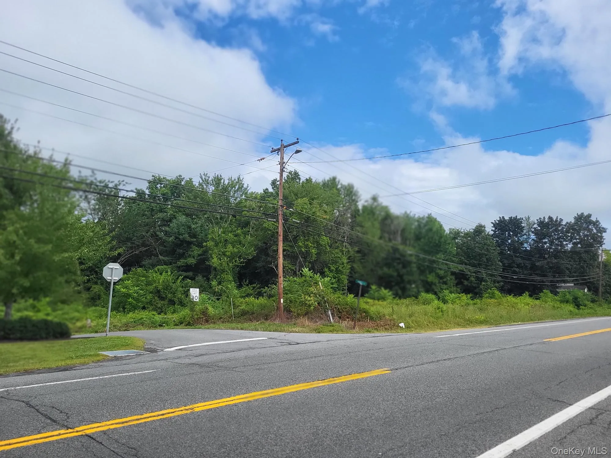 View of asphalt road featuring view of wooded area and street lights View of asphalt road featuring view of wooded area and street lights