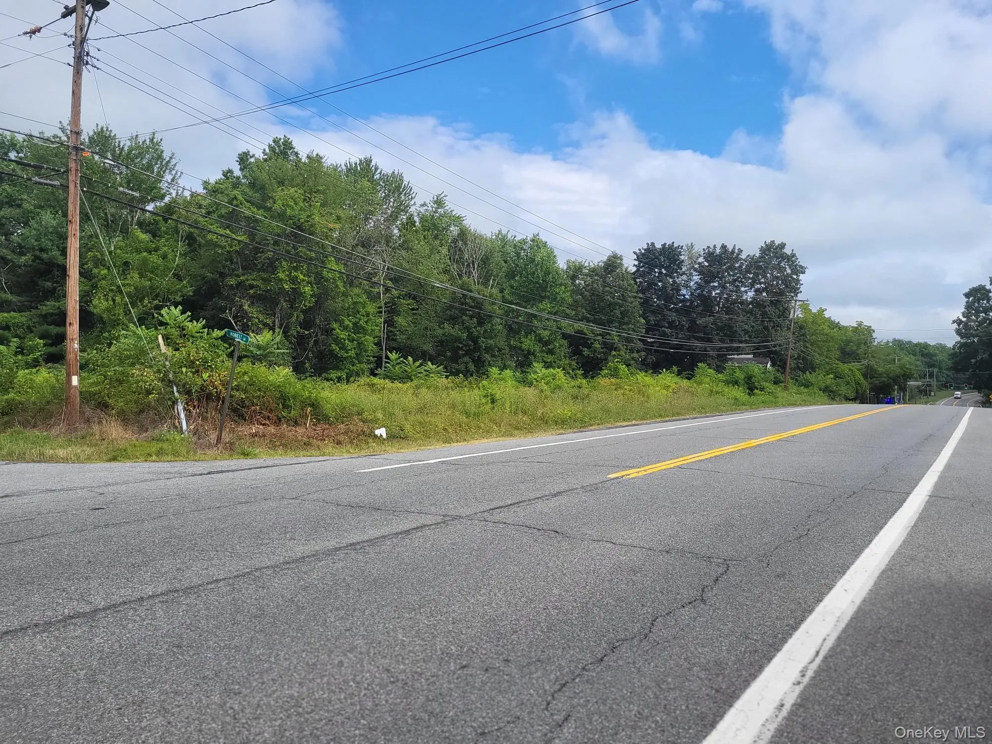 View of asphalt road featuring view of wooded area View of asphalt road featuring view of wooded area