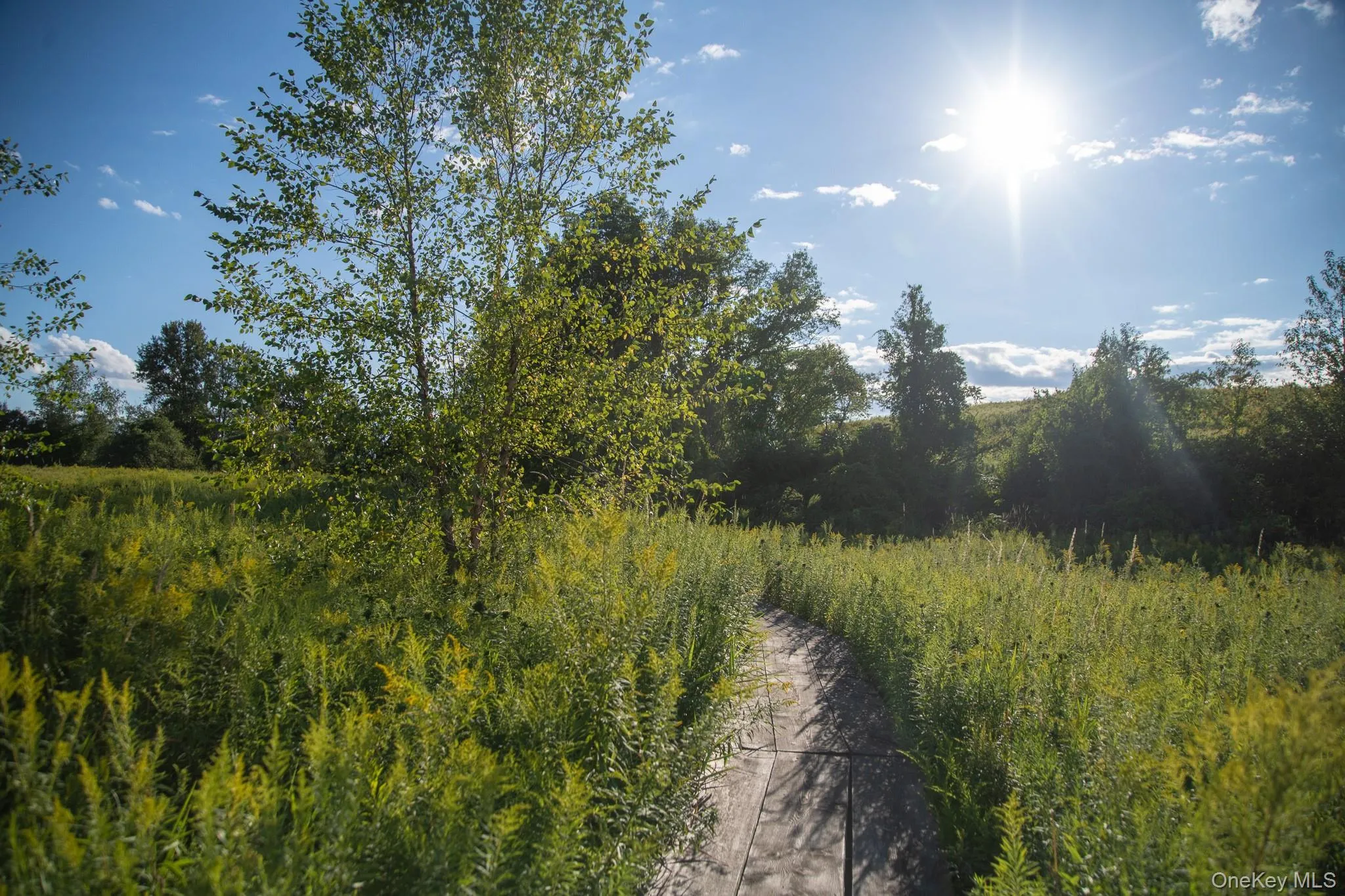 Path from house to porch Path from house to porch