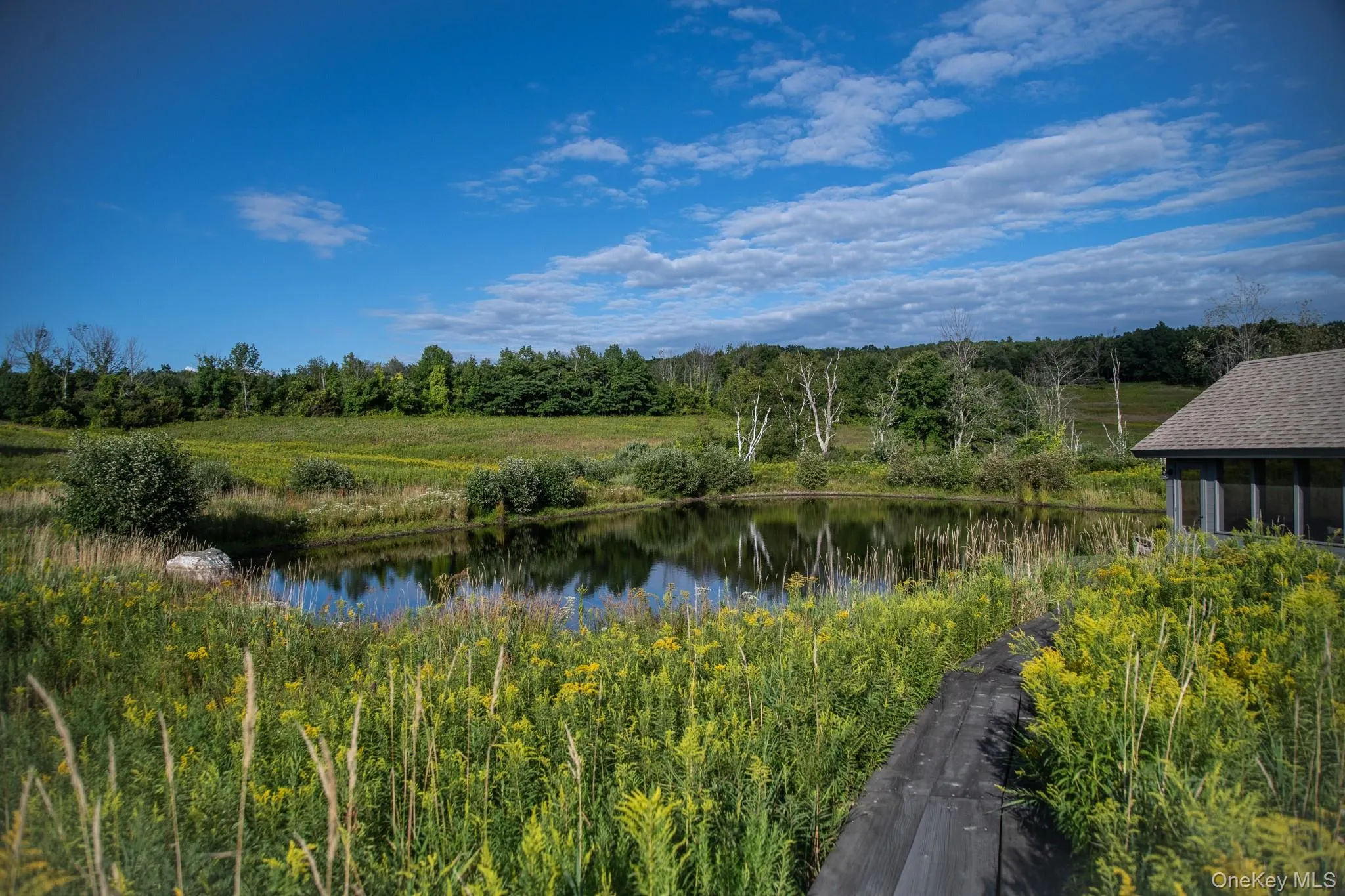 View of pond house and pond View of pond house and pond