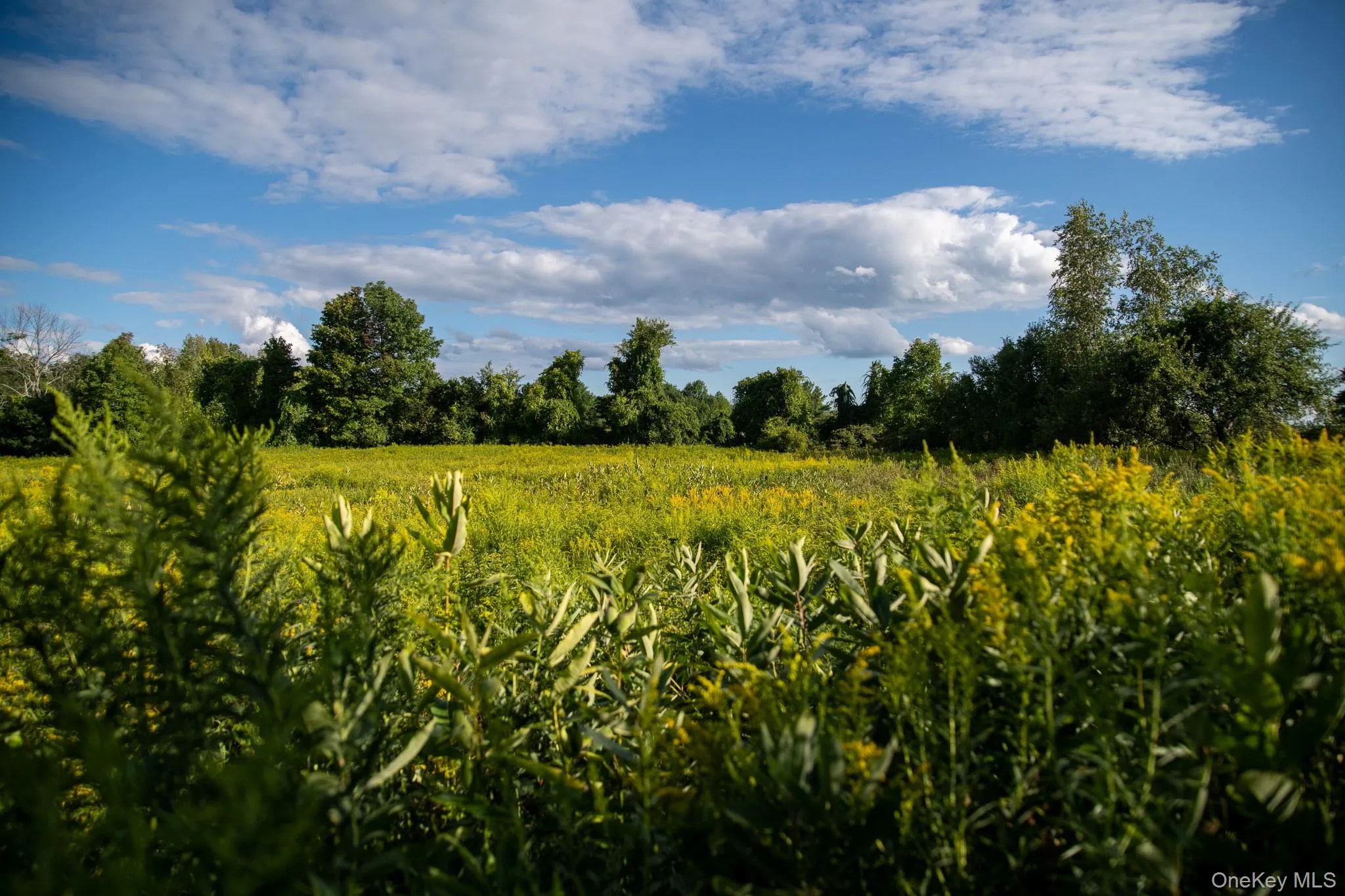 Property views Property views