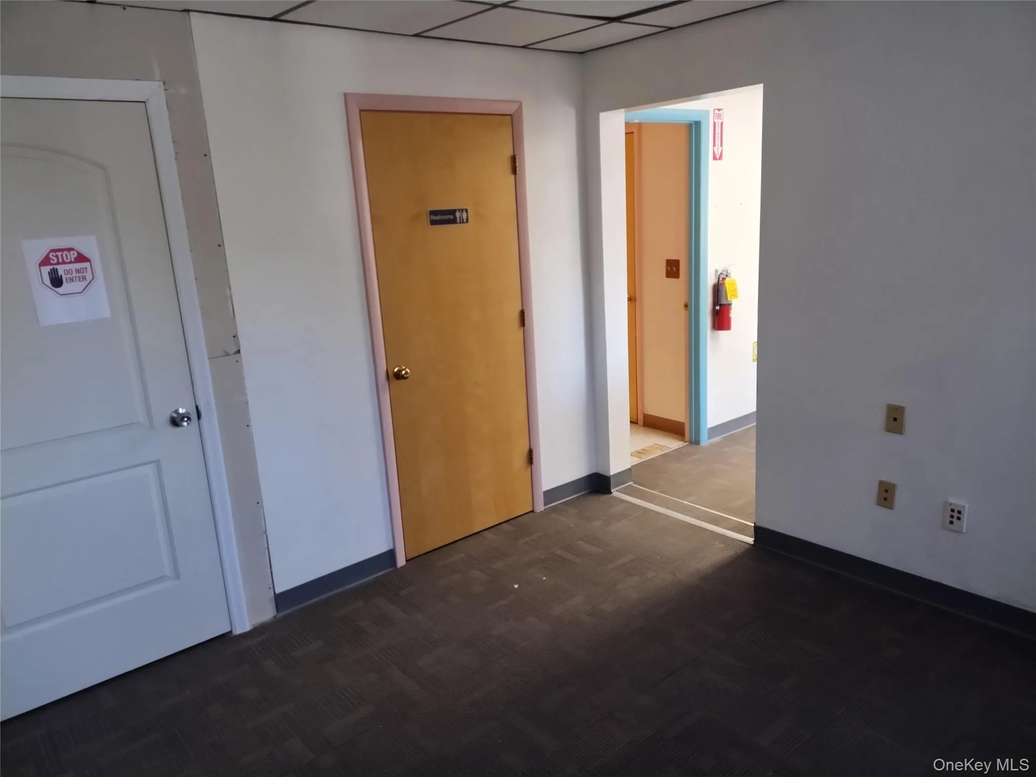 Spare room featuring a drop ceiling and dark carpet Spare room featuring a drop ceiling and dark carpet