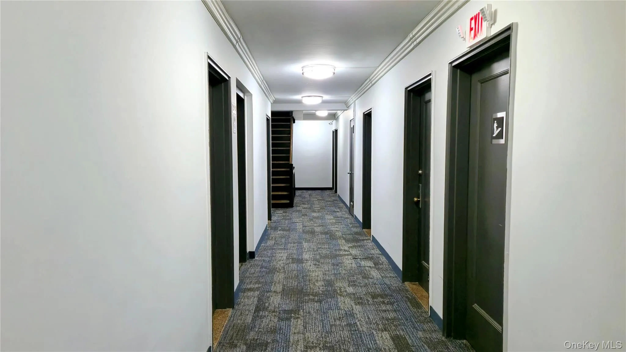 Hallway featuring crown molding and dark colored carpet Hallway featuring crown molding and dark colored carpet