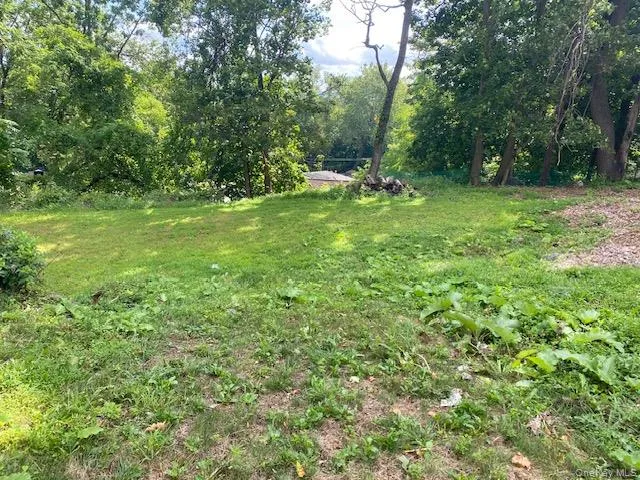 View of green lawn View of green lawn