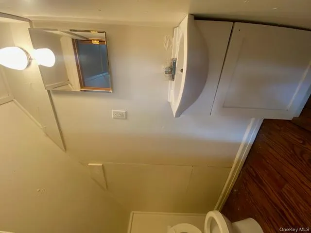 Bathroom featuring dark wood-style flooring, vanity, and lofted ceiling Bathroom featuring dark wood-style flooring, vanity, and lofted ceiling