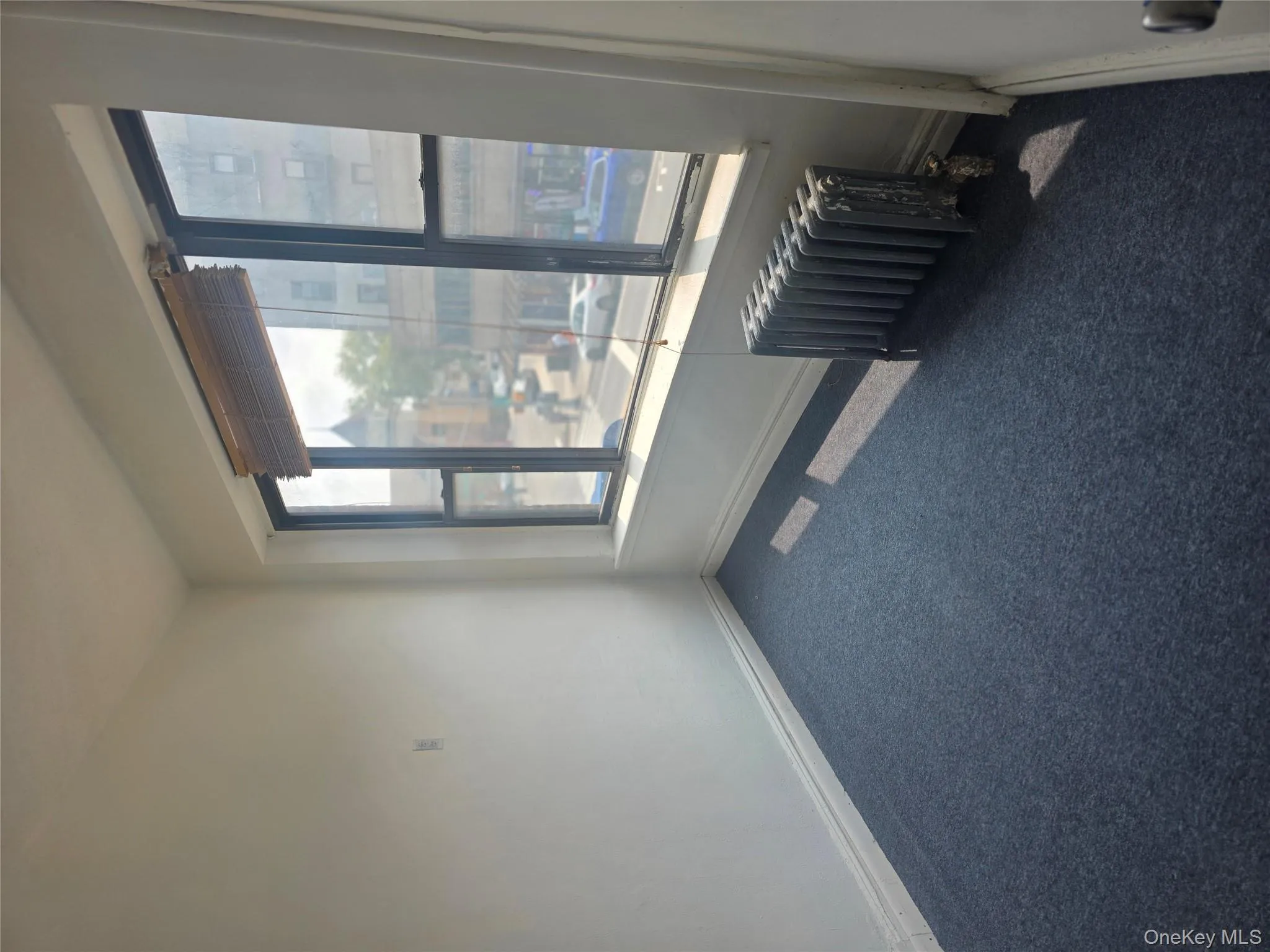 Empty room with radiator and carpet Empty room with radiator and carpet