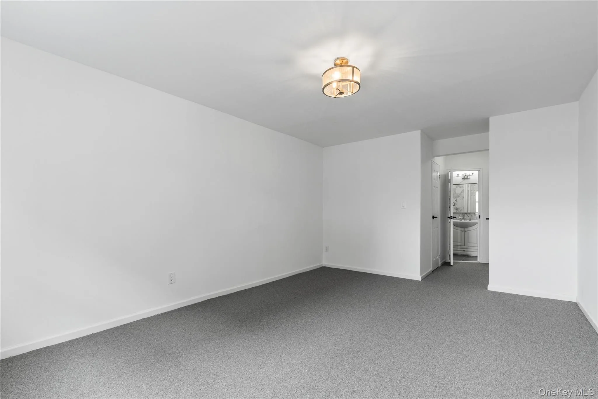 Carpeted spare room featuring baseboards Carpeted spare room featuring baseboards