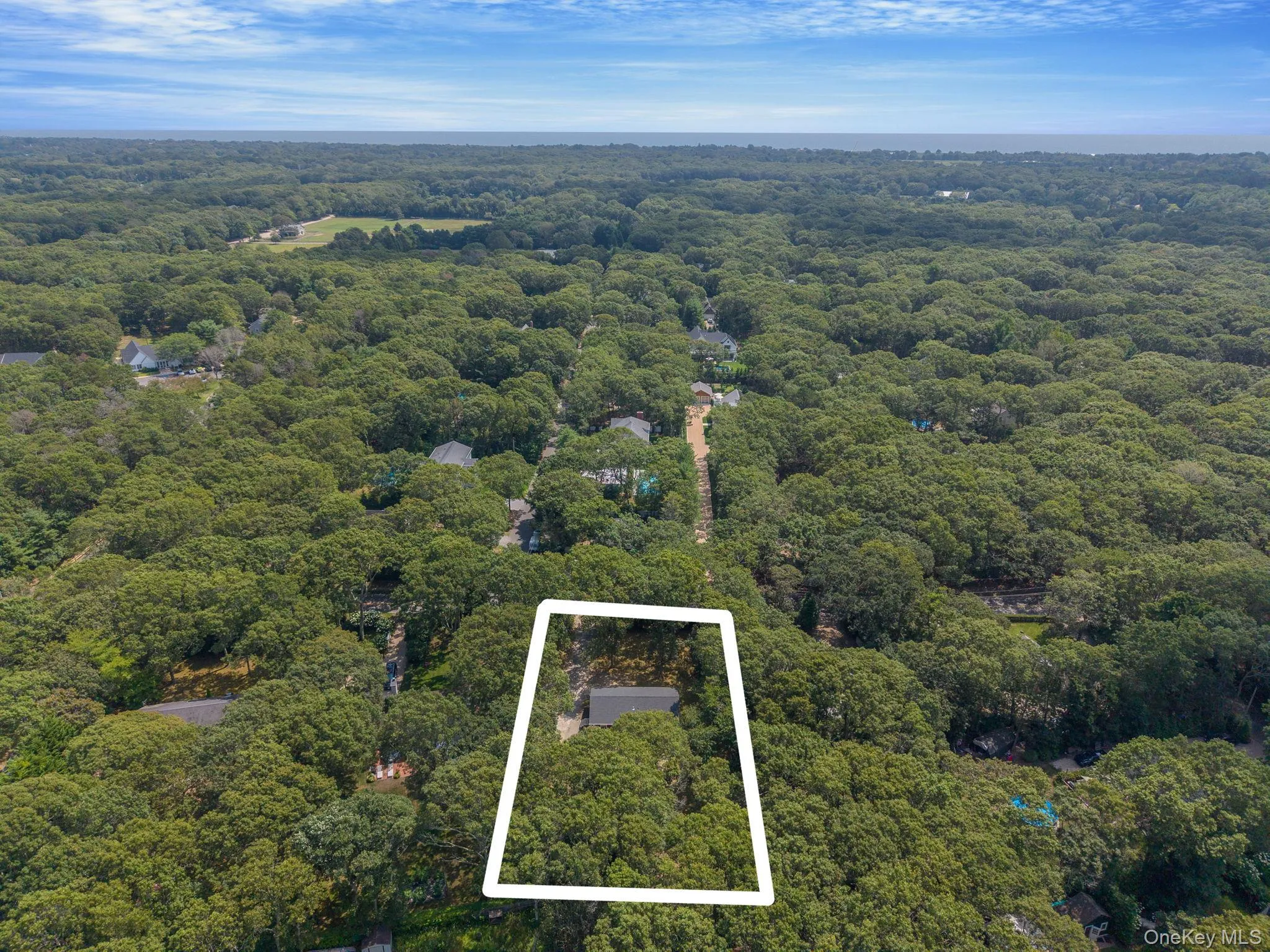 Aerial view of property's location featuring a heavily wooded area and property boundaries highlighted