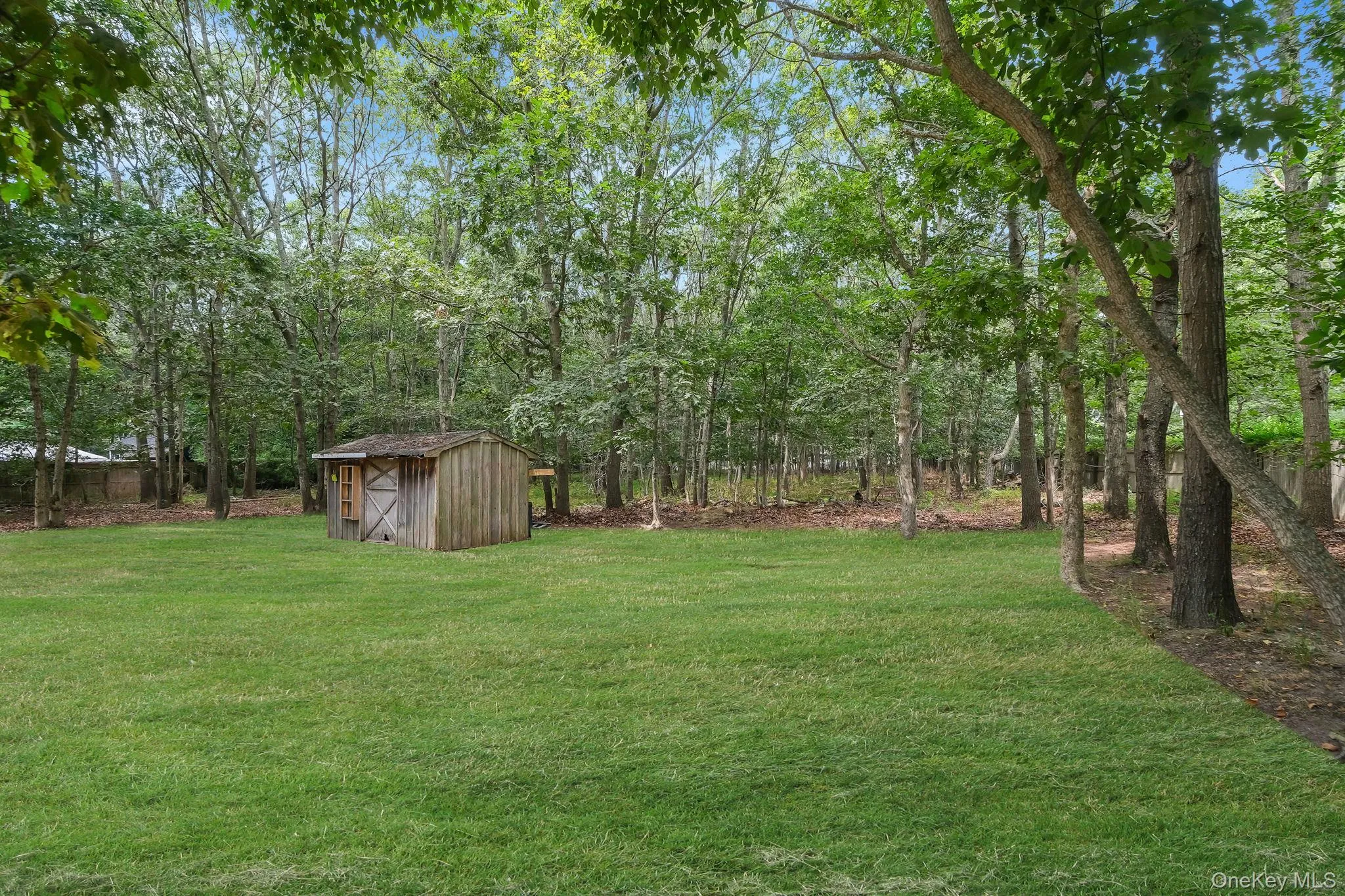 View of grassy yard with a shed
