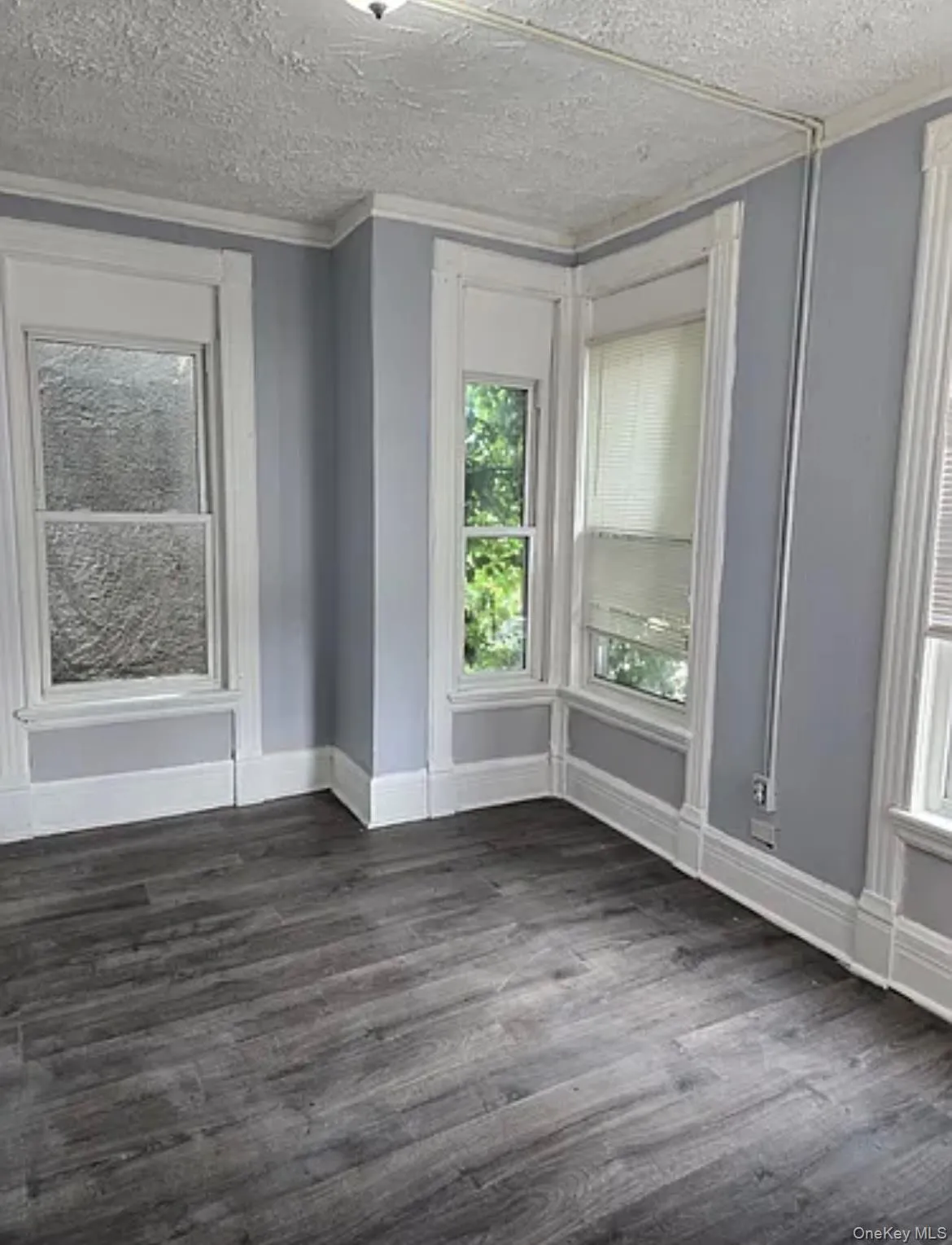 Unfurnished room with crown molding, dark wood-type flooring, and a textured ceiling Unfurnished room with crown molding, dark wood-type flooring, and a textured ceiling