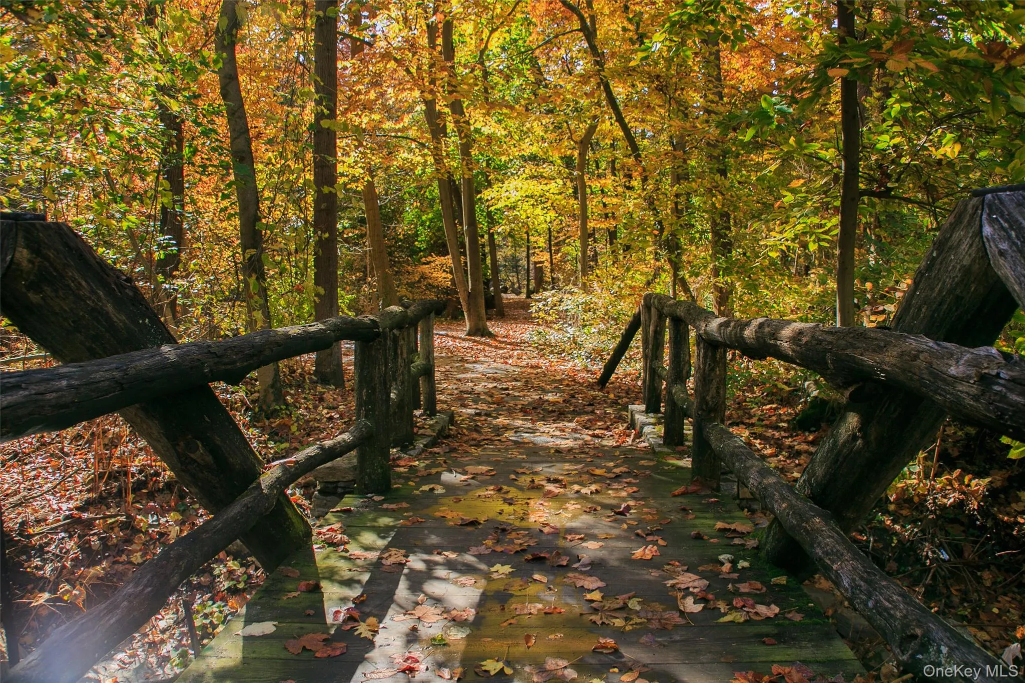 Bronx River Nature Trail Bronx River Nature Trail