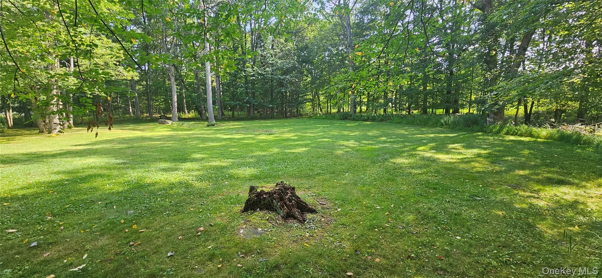 View of green lawn View of green lawn