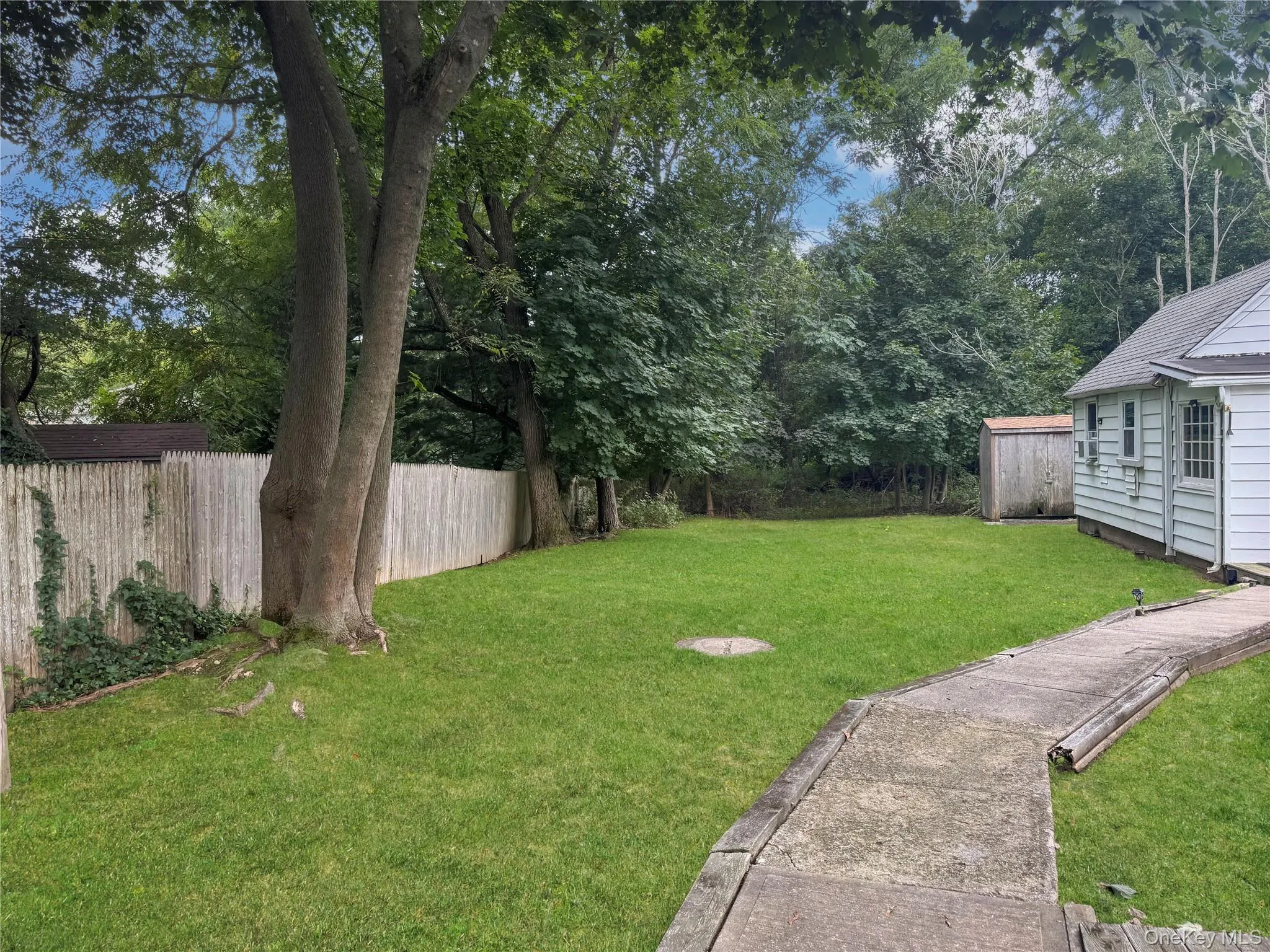 View of yard featuring view of wooded area View of yard featuring view of wooded area