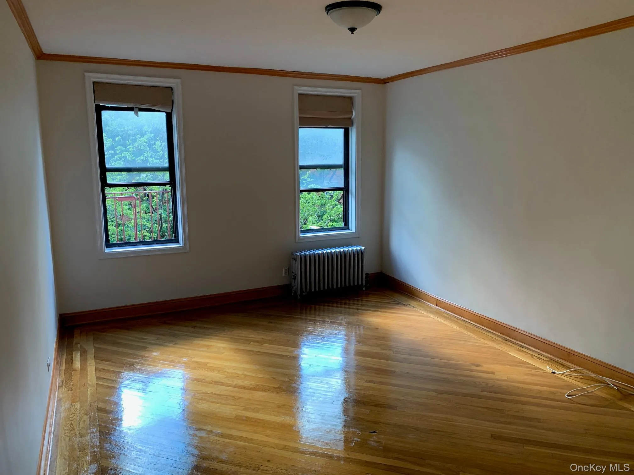 Empty room featuring plenty of natural light, ornamental molding, light wood-style flooring, and radiator heating unit Empty room featuring plenty of natural light, ornamental molding, light wood-style flooring, and radiator heating unit