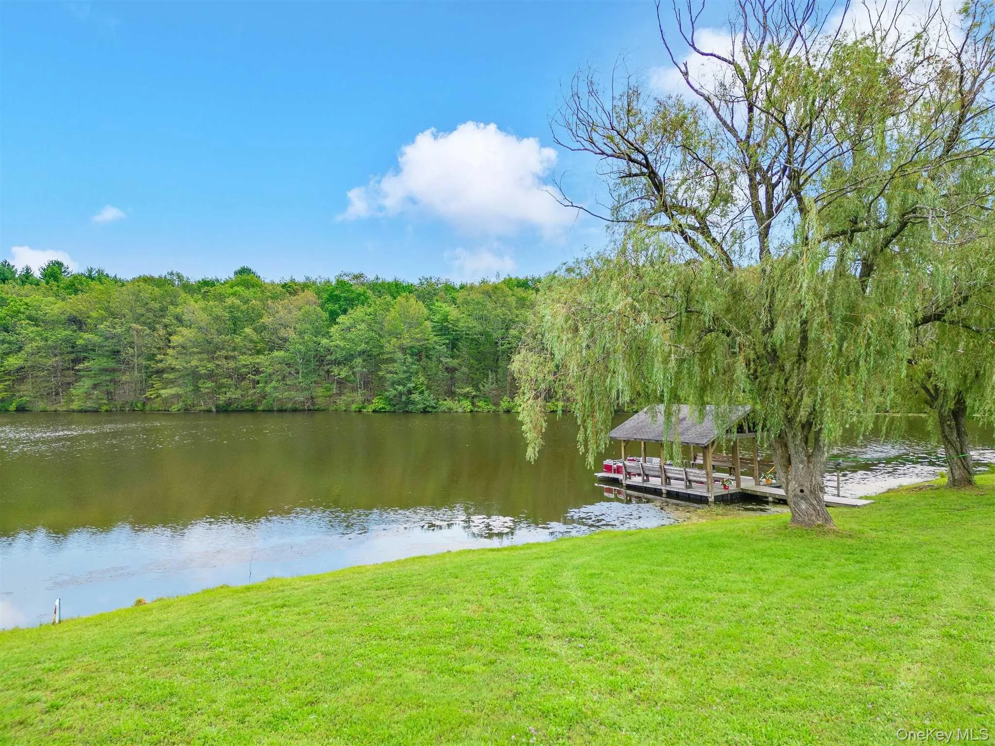 238 PUMPKIN LANE REAR, Stanford, NY, 2 Bedrooms Bedrooms, 6 Rooms Rooms,2 BathroomsBathrooms,Residential Lease,Idx,PUMPKIN LANE REAR,0,902791 238 PUMPKIN LANE REAR, Stanford, NY, 2 Bedrooms Bedrooms, 6 Rooms Rooms,2 BathroomsBathrooms,Residential Lease,Idx,PUMPKIN LANE REAR,0,902791