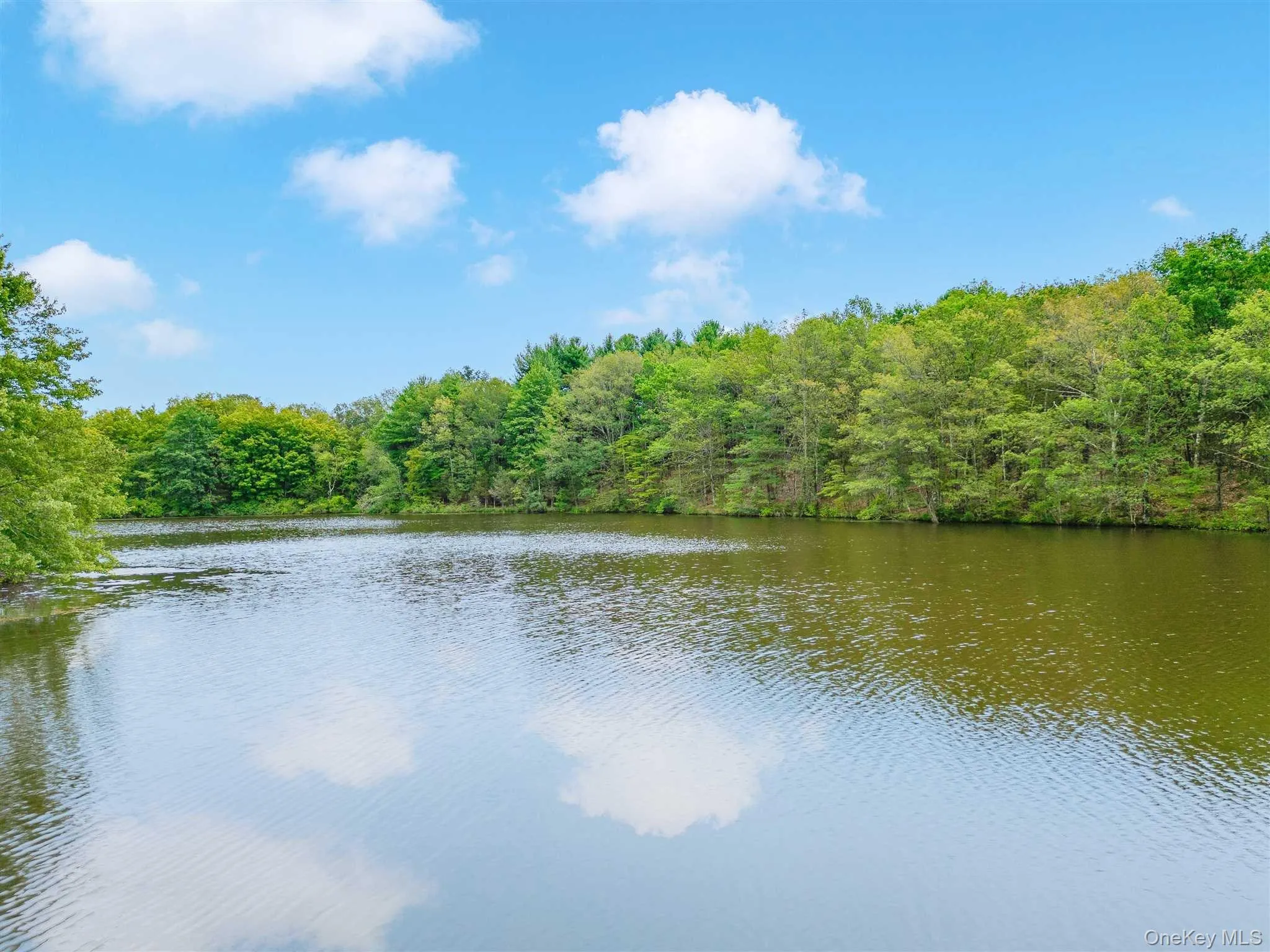 238 PUMPKIN LANE REAR, Stanford, NY, 2 Bedrooms Bedrooms, 6 Rooms Rooms,2 BathroomsBathrooms,Residential Lease,Idx,PUMPKIN LANE REAR,0,902791 238 PUMPKIN LANE REAR, Stanford, NY, 2 Bedrooms Bedrooms, 6 Rooms Rooms,2 BathroomsBathrooms,Residential Lease,Idx,PUMPKIN LANE REAR,0,902791