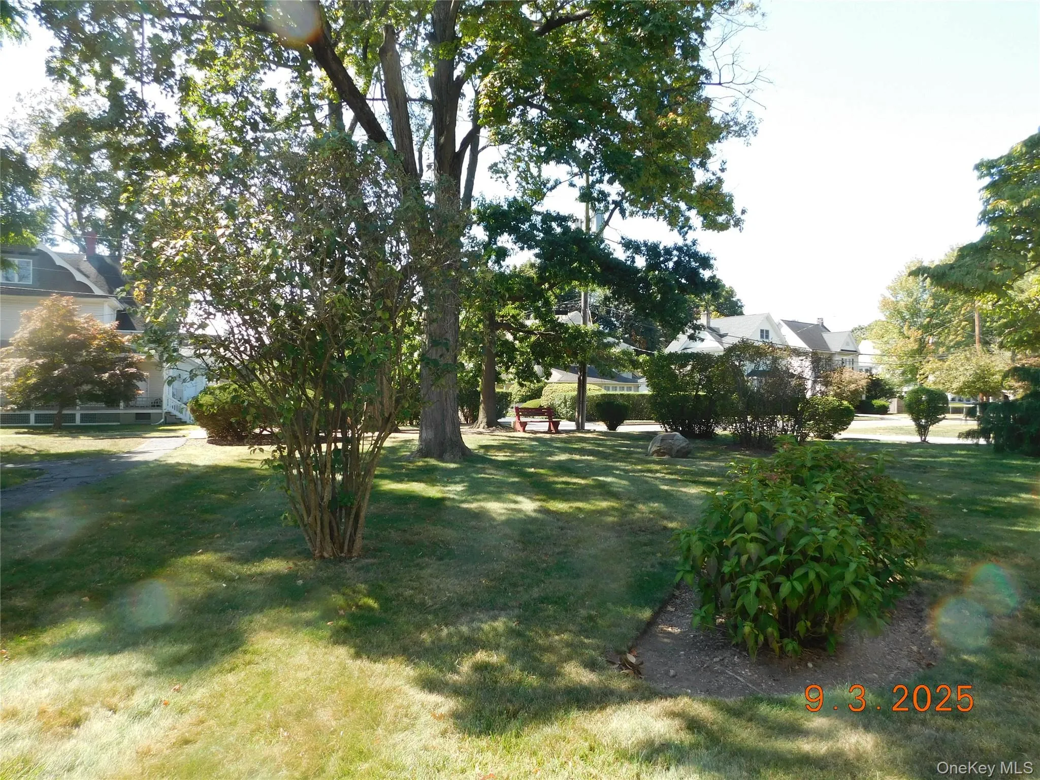 View of green lawn View of green lawn