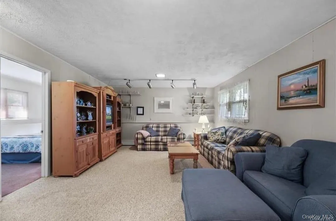 Living room featuring light colored carpet Living room featuring light colored carpet