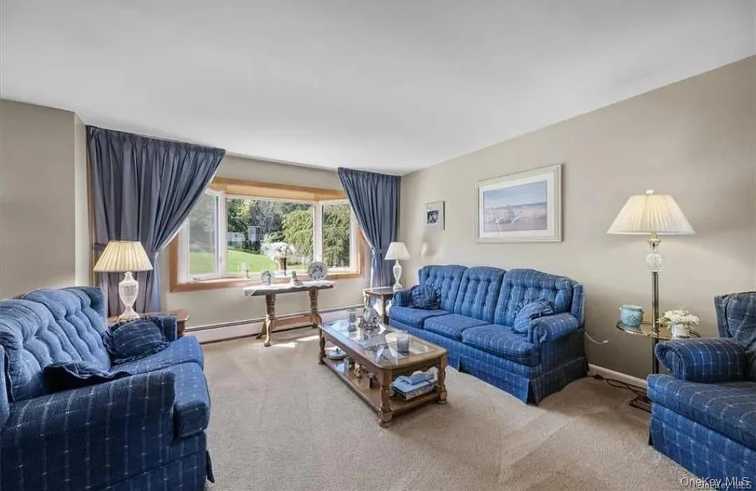 Living area featuring carpet flooring and a baseboard radiator Living area featuring carpet flooring and a baseboard radiator