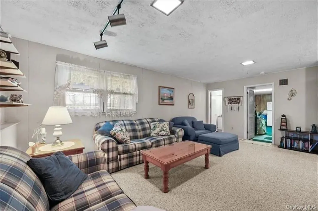 Carpeted living room with a textured ceiling Carpeted living room with a textured ceiling