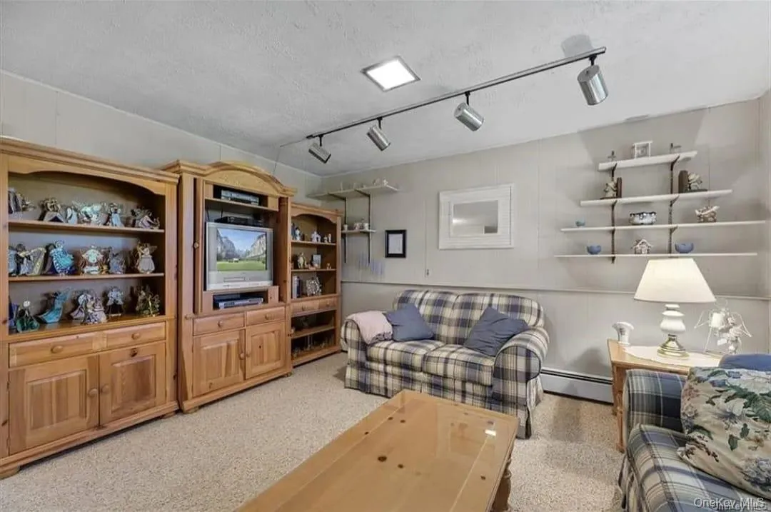 Living area with a baseboard radiator, a textured ceiling, and track lighting Living area with a baseboard radiator, a textured ceiling, and track lighting
