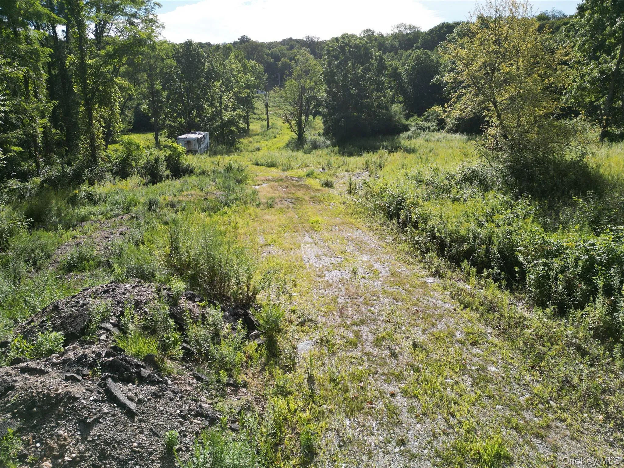 View of wooded area View of wooded area