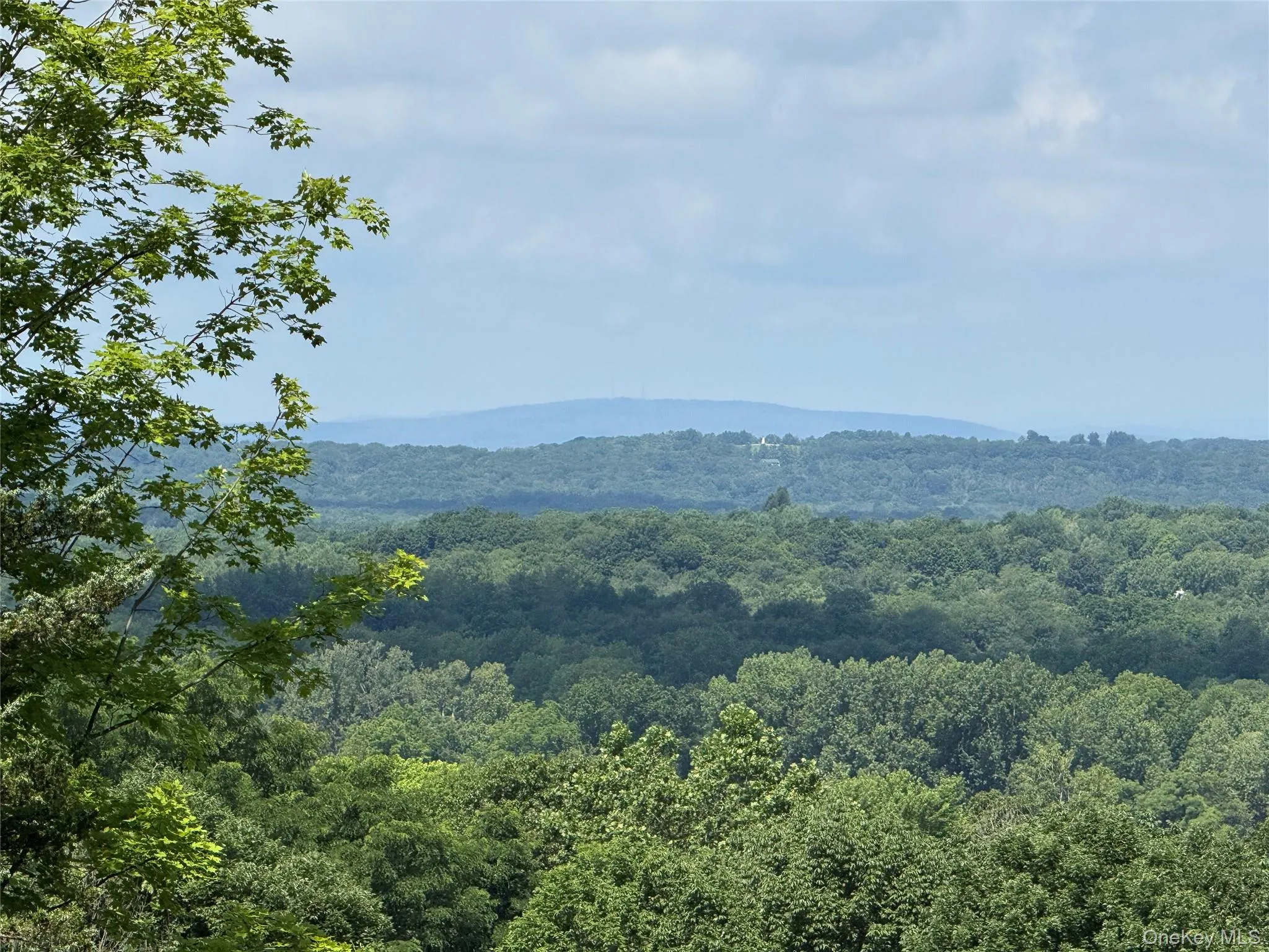 Mountain view with a forest Mountain view with a forest