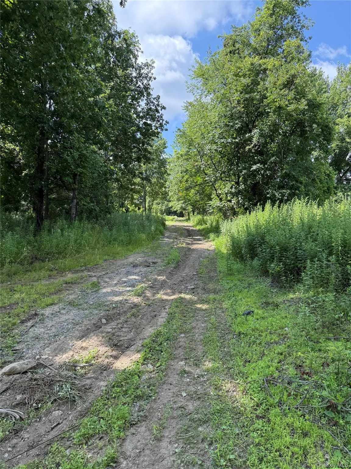 View of dirt / gravel road View of dirt / gravel road