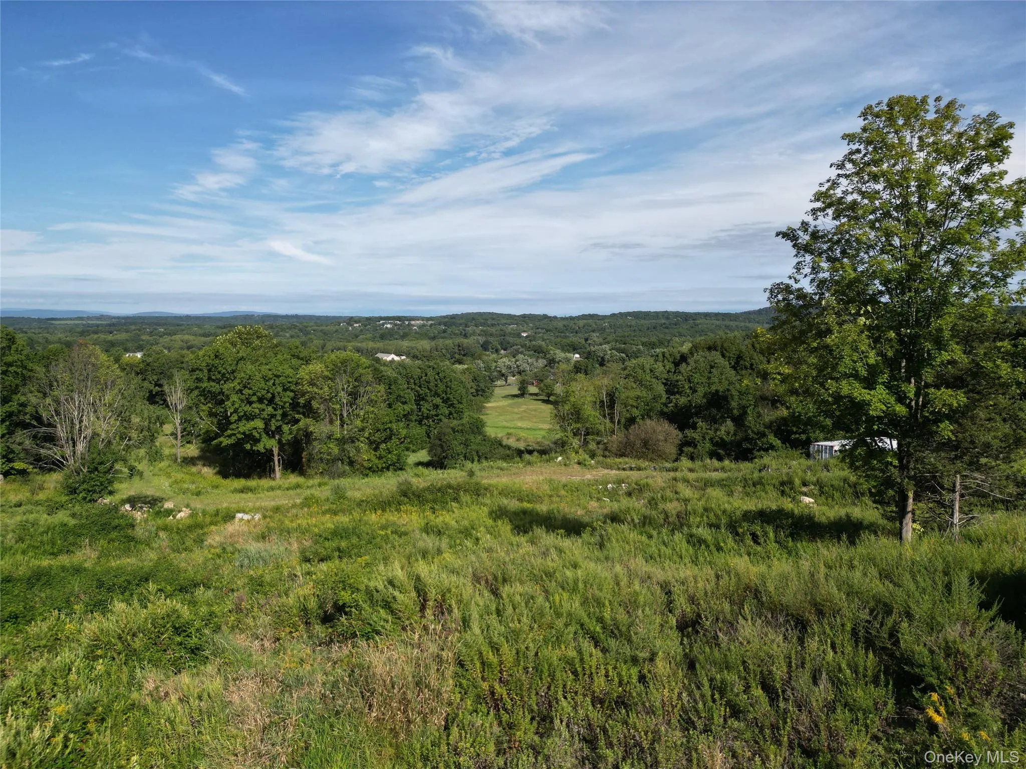 View of woods featuring a view of countryside View of woods featuring a view of countryside
