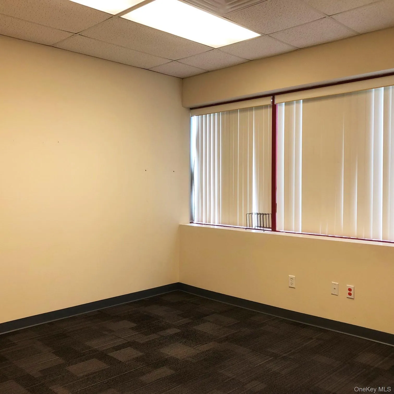 Unfurnished room featuring dark colored carpet and a paneled ceiling Unfurnished room featuring dark colored carpet and a paneled ceiling