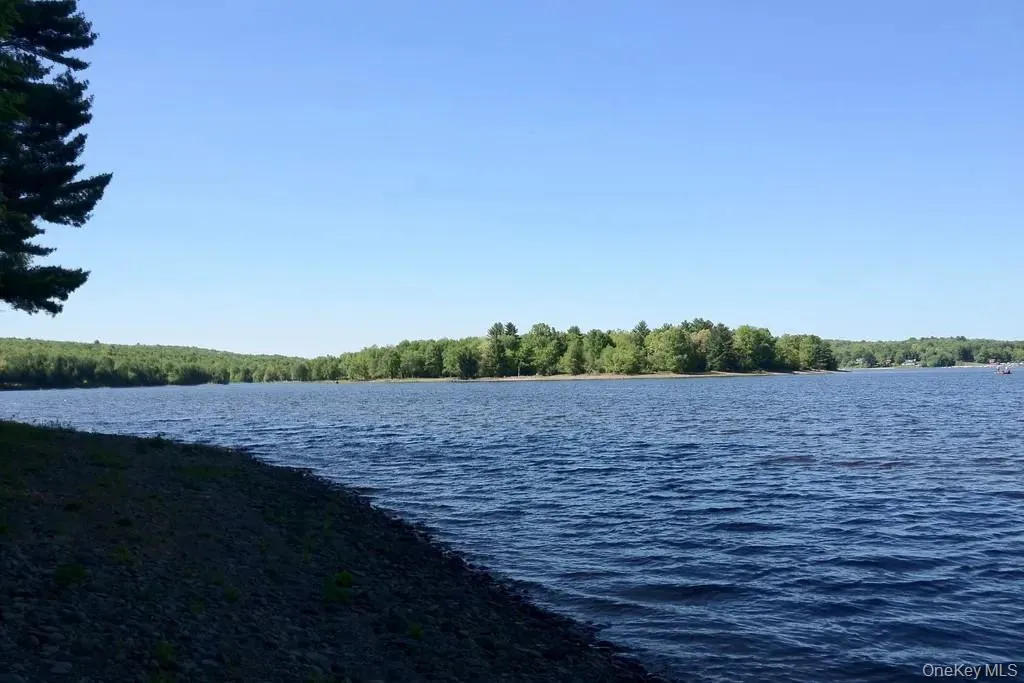 Water view featuring a forest Water view featuring a forest