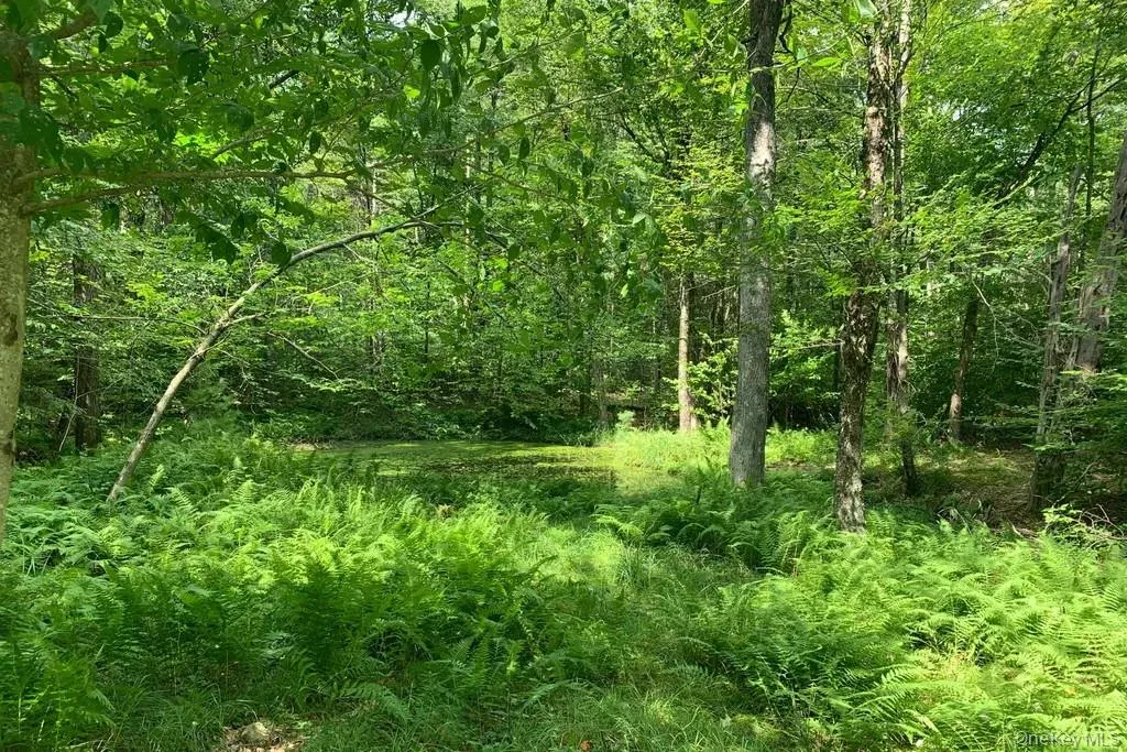 View of undeveloped land View of undeveloped land