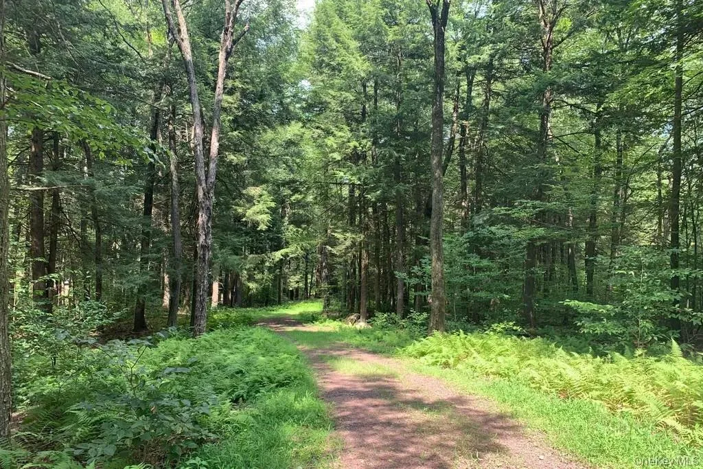 View of dirt / gravel road featuring a wooded view View of dirt / gravel road featuring a wooded view