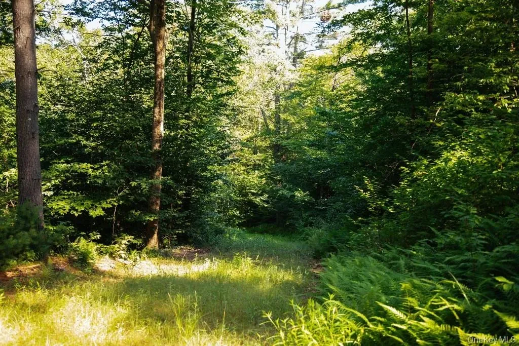 View of wooded area View of wooded area
