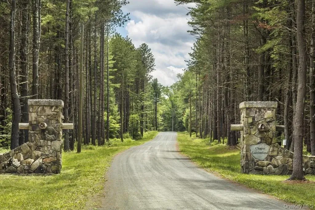 View of road featuring a forest view View of road featuring a forest view