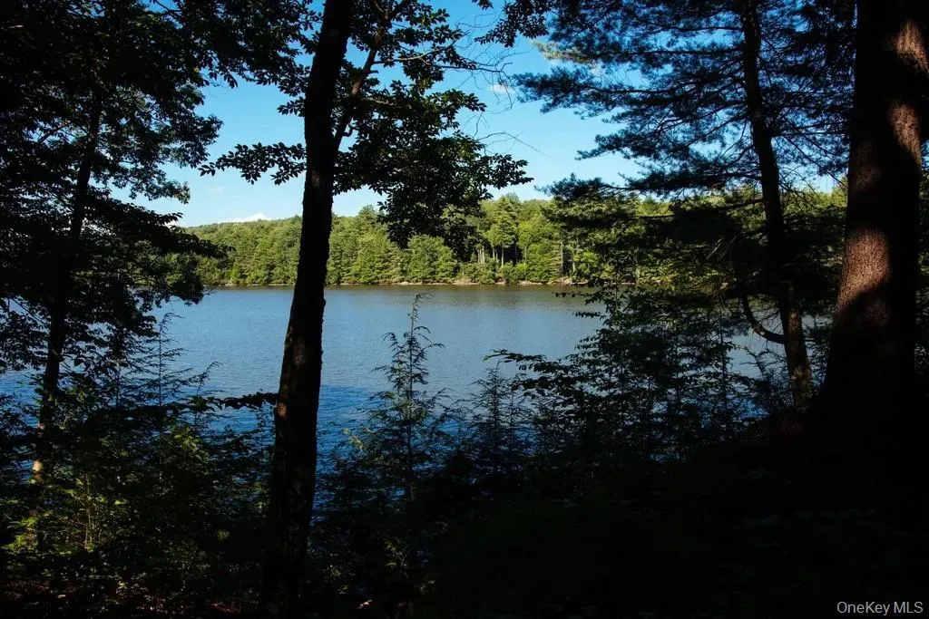 Water view featuring a forest Water view featuring a forest
