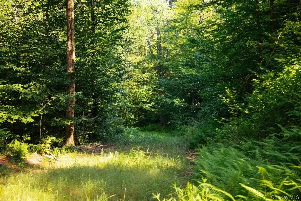 View of woods View of woods