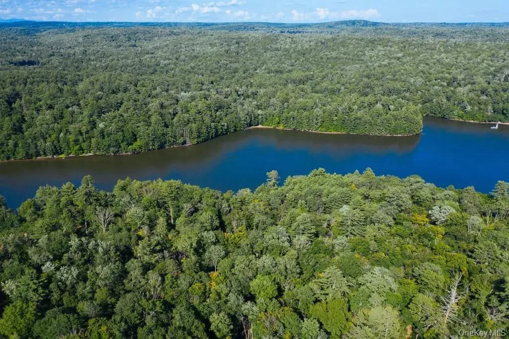 Aerial view of property's location featuring a heavily wooded area and a nearby body of water Aerial view of property's location featuring a heavily wooded area and a nearby body of water