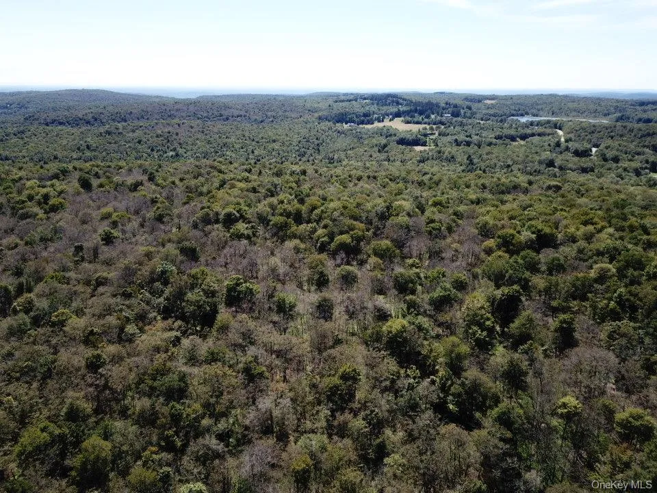 Aerial view of a heavily wooded area Aerial view of a heavily wooded area