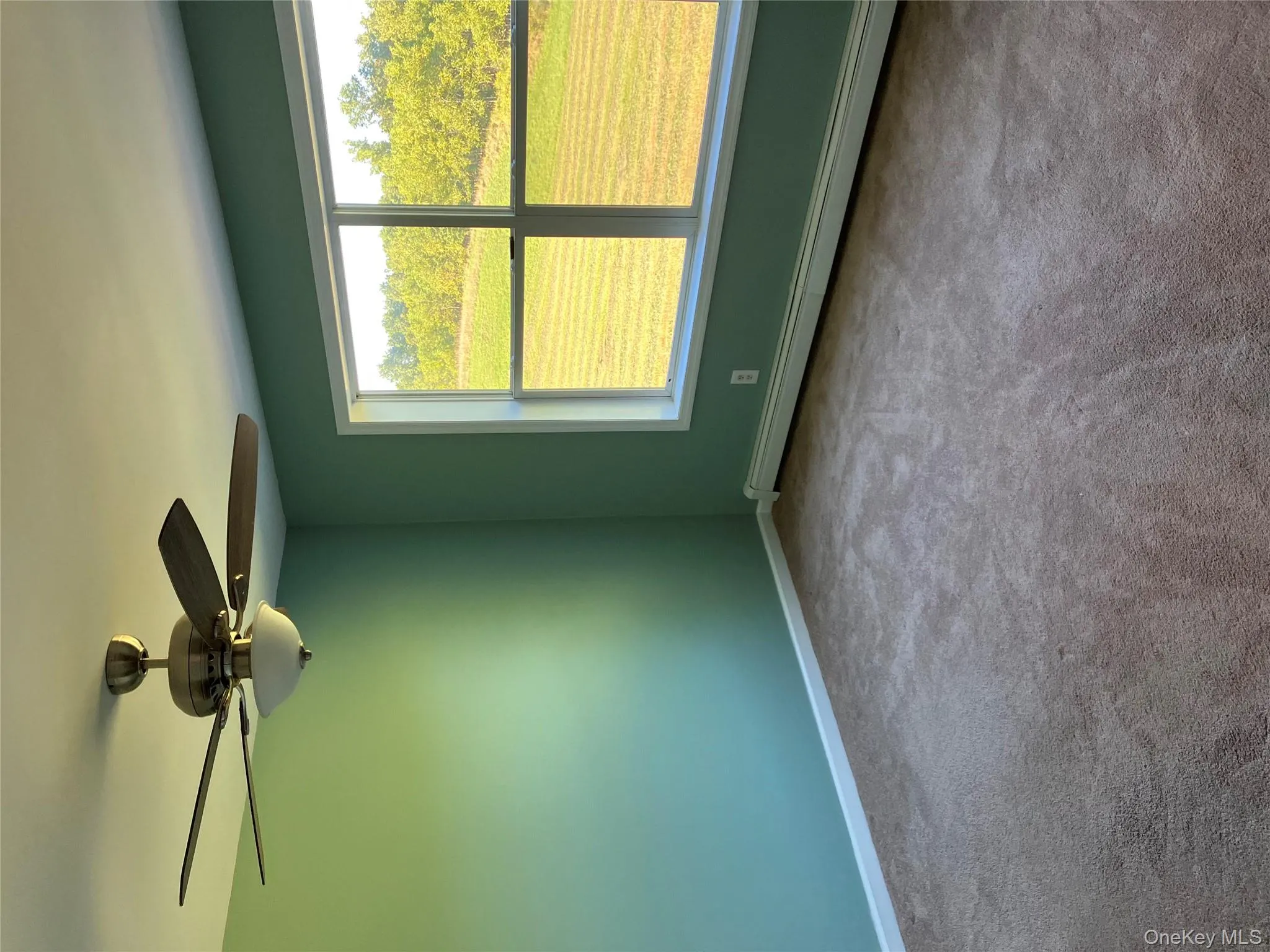 Empty room with baseboard heating, carpet, and ceiling fan Empty room with baseboard heating, carpet, and ceiling fan