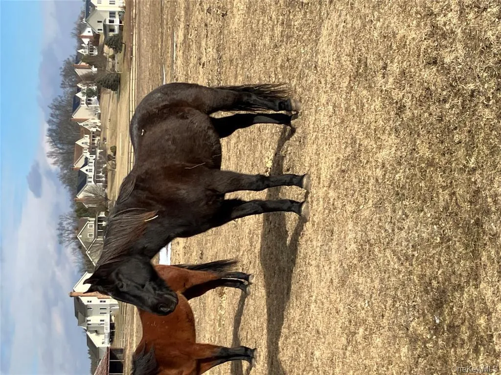 Exterior view of a residential view Exterior view of a residential view