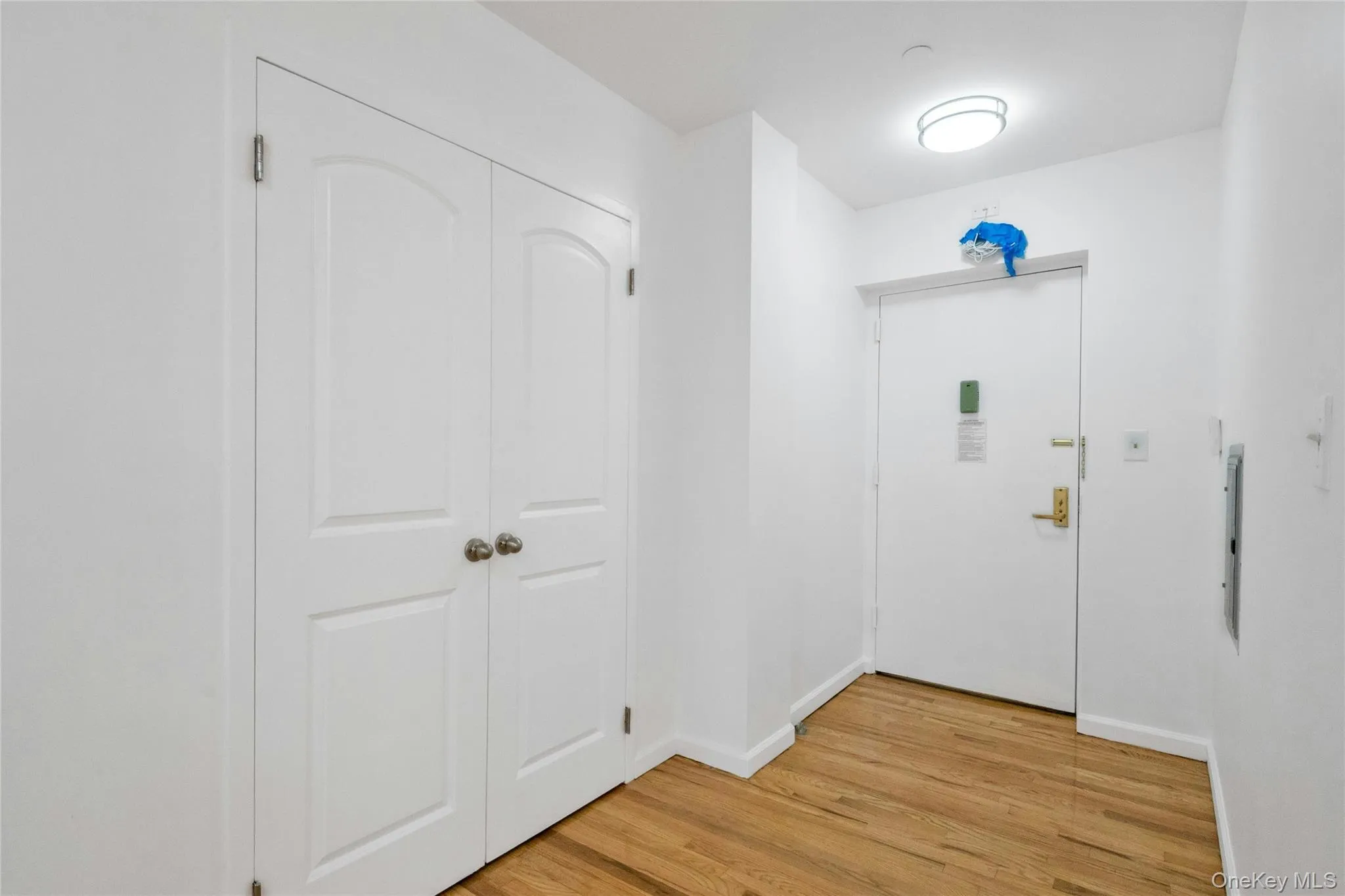 featuring light wood-style floors featuring light wood-style floors