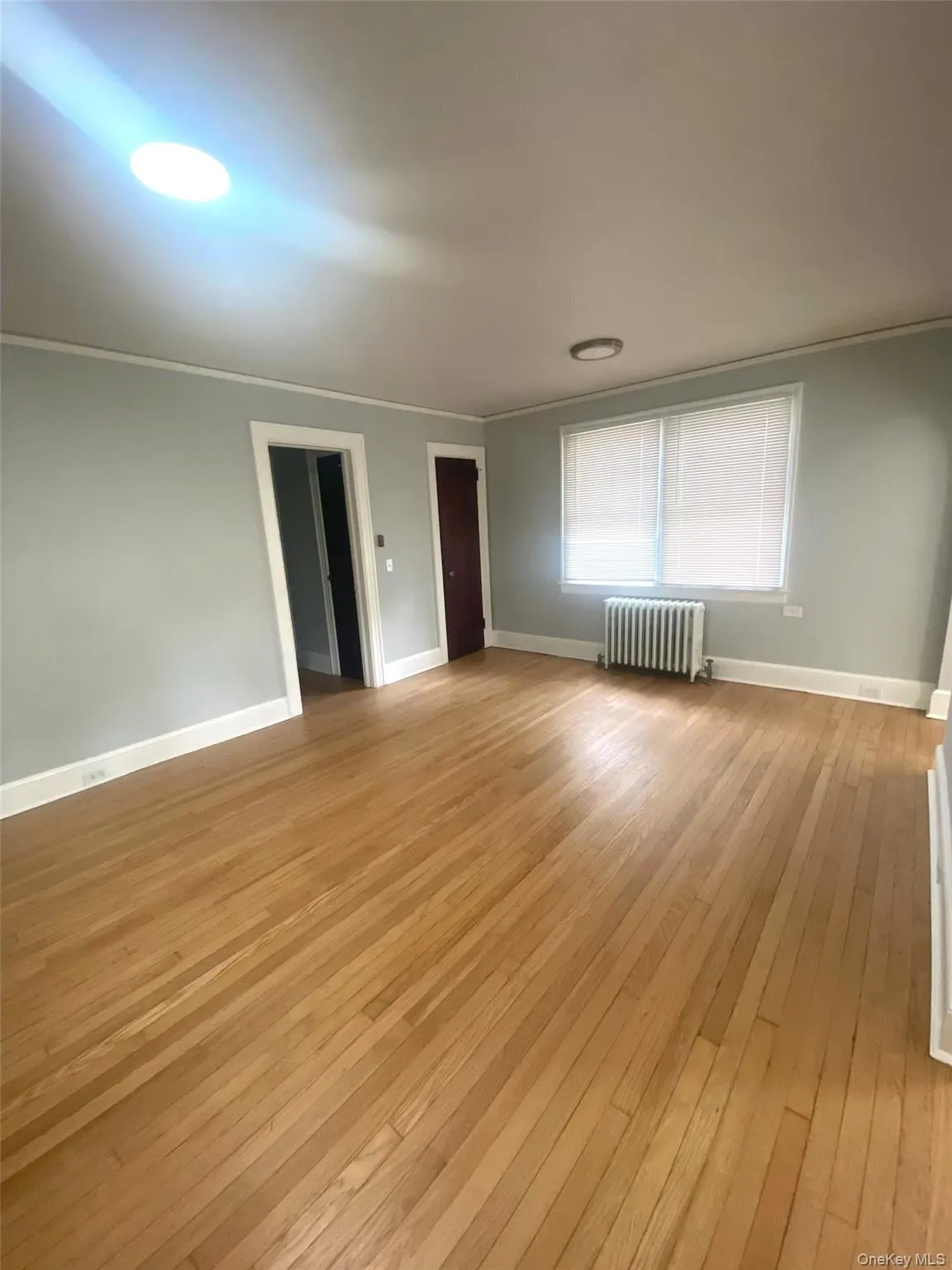 Spare room featuring radiator, light wood finished floors, and ornamental molding Spare room featuring radiator, light wood finished floors, and ornamental molding