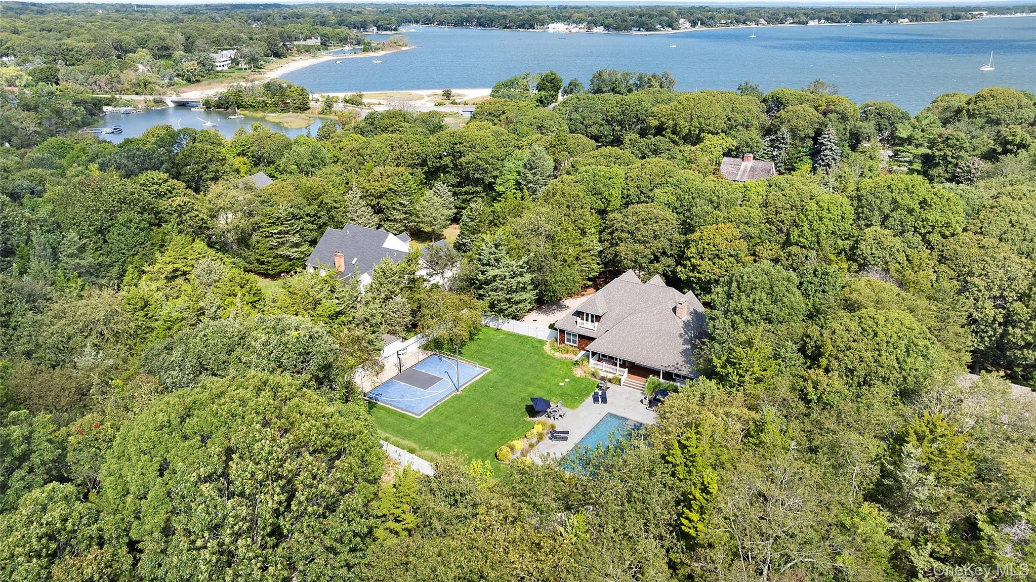 Drone / aerial view of a forest and a large body of water Drone / aerial view of a forest and a large body of water