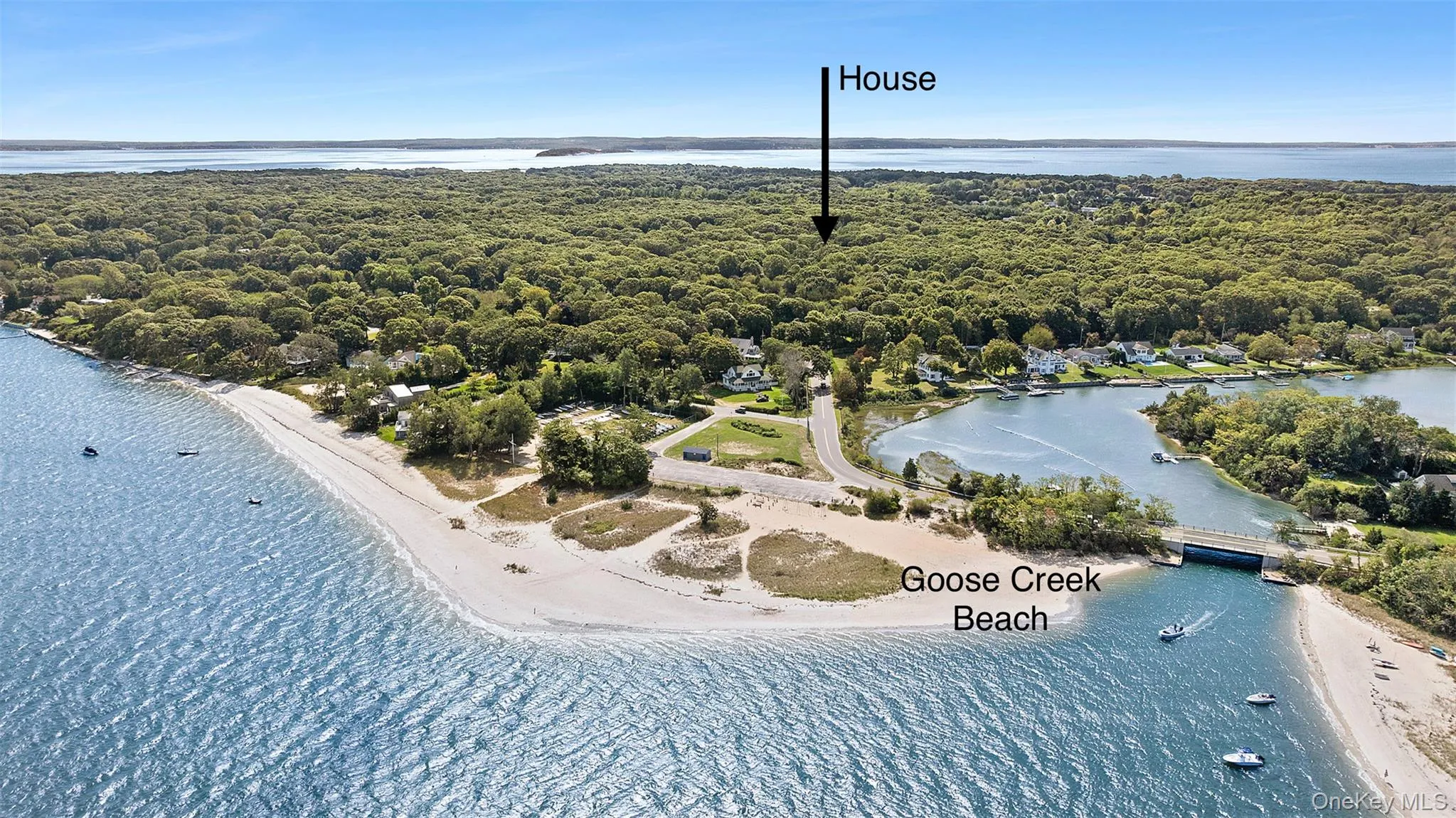 Bird's eye view of a heavily wooded area and a large body of water Bird's eye view of a heavily wooded area and a large body of water